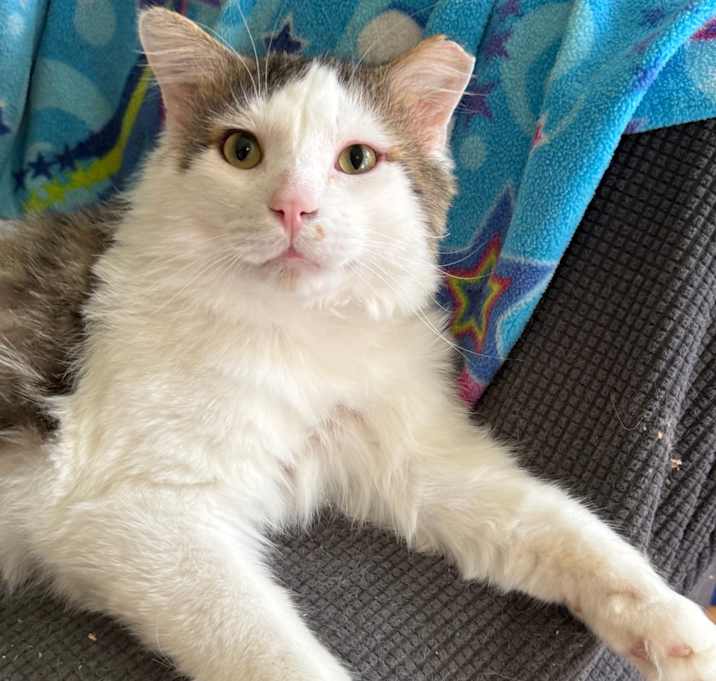 Photo of Timothy