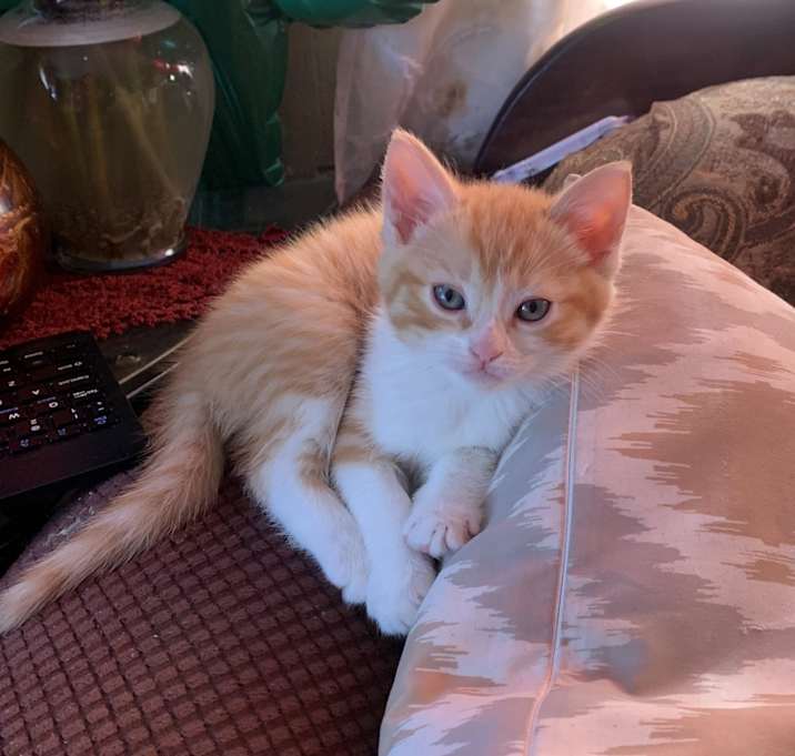 Photo of Jasper