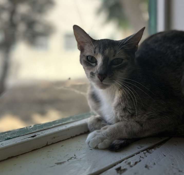 Photo of Connie