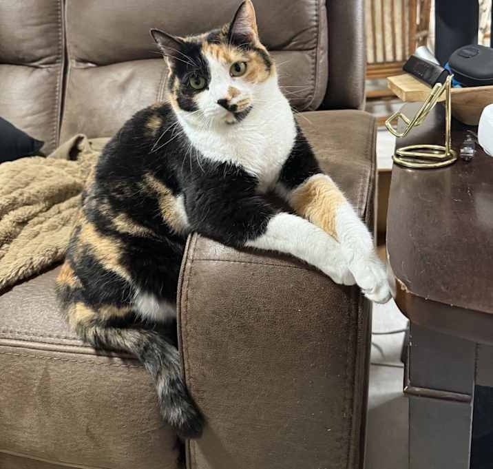 Photo of Nibbler