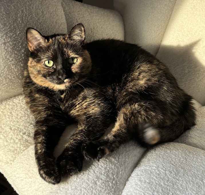 Photo of Bella