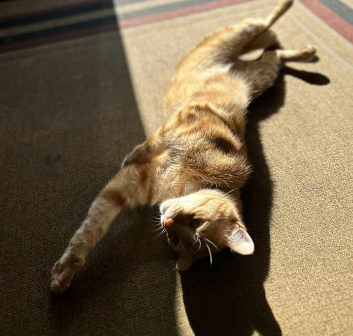 Photo of Marty