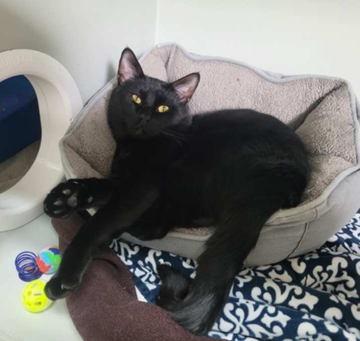 Photo of Mr. Man