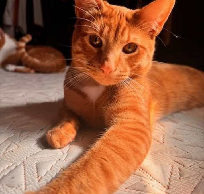 Photo of Pio