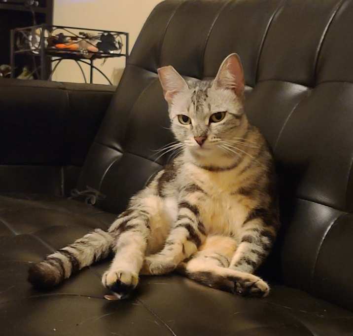 Photo of Malibue