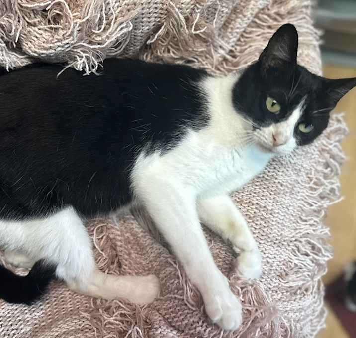 Photo of Aspen