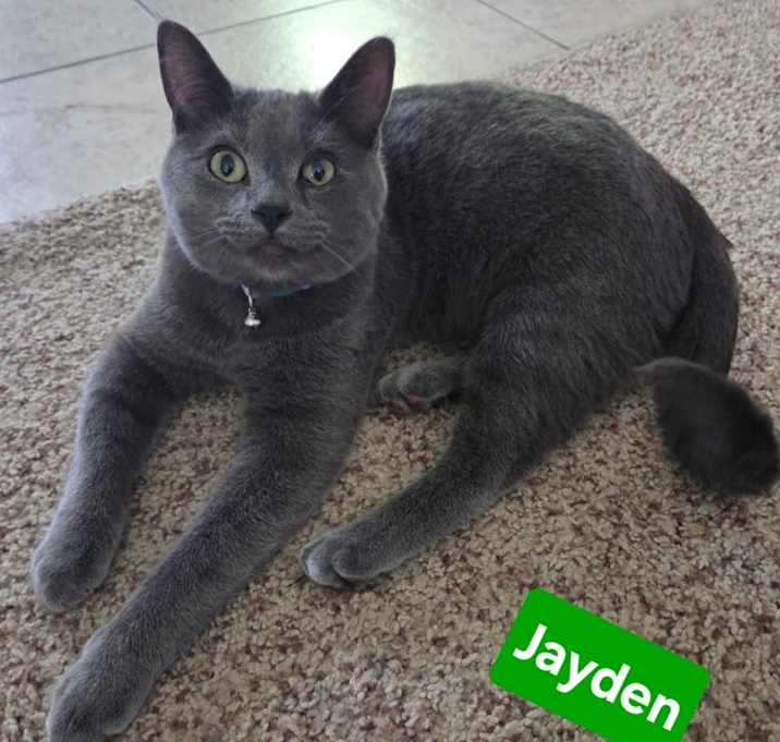 Photo of Jayden