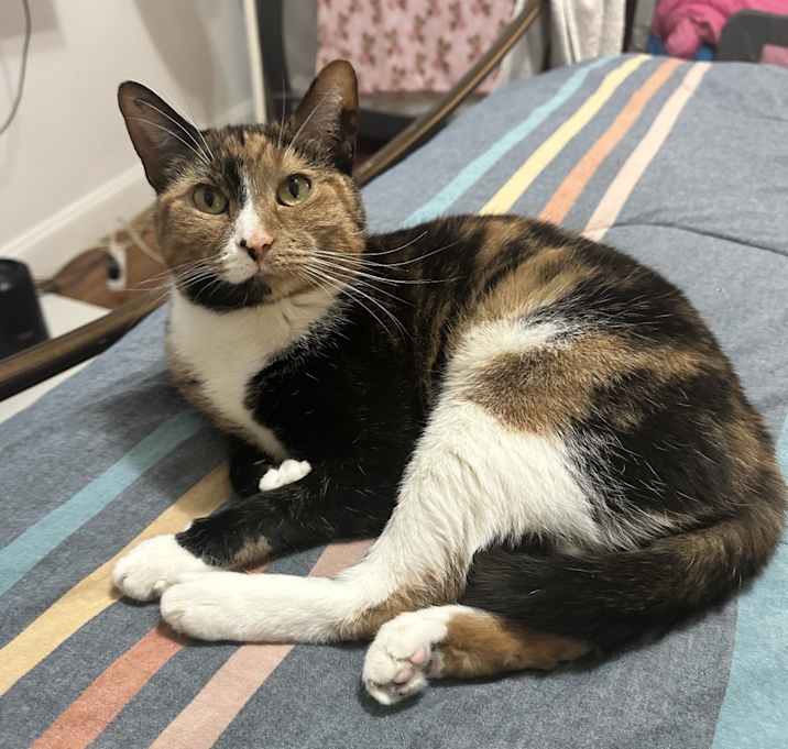 Photo of Sassy