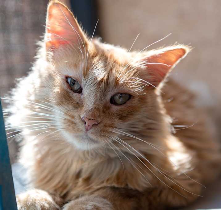 Photo of Myron