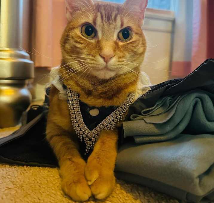 Photo of Kiki