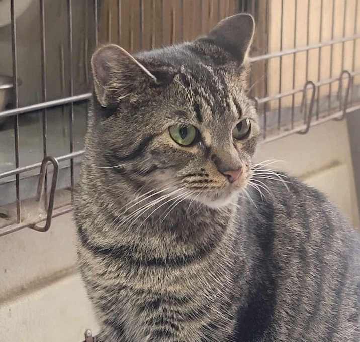 Photo of Olivia