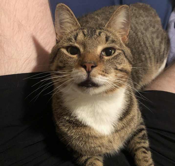 Photo of Hercules