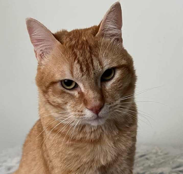 Photo of Miles