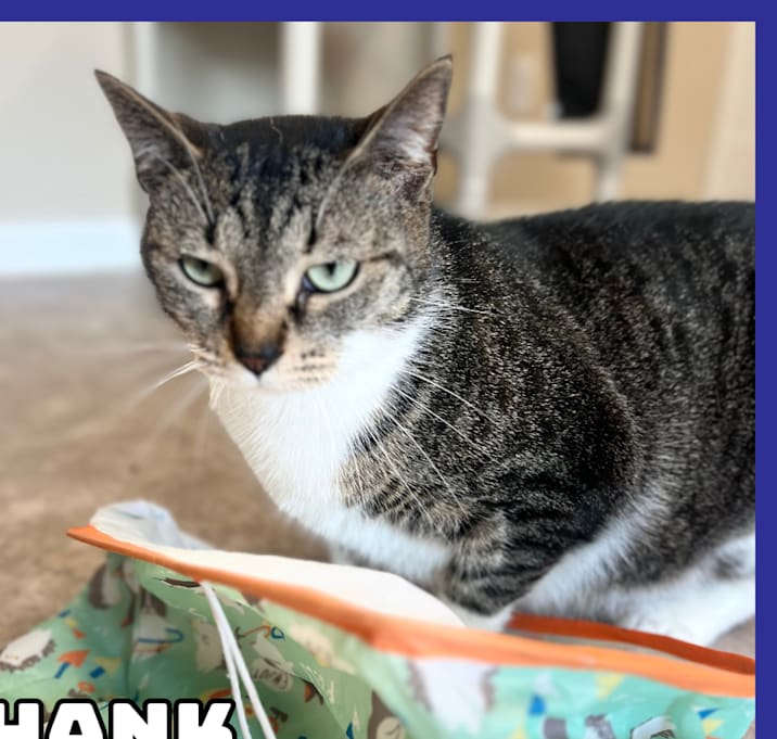 Photo of Hank