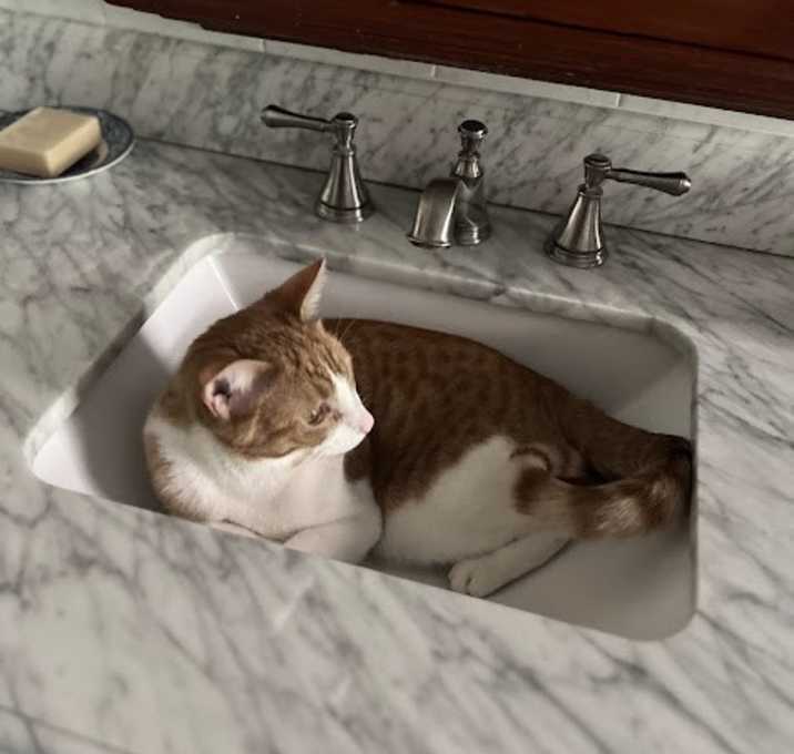 Photo of Charlie