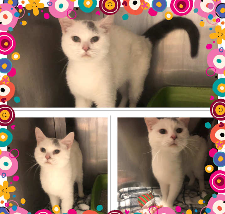 Photo of DOT