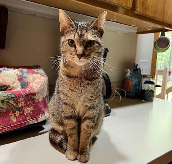 Photo of Evie