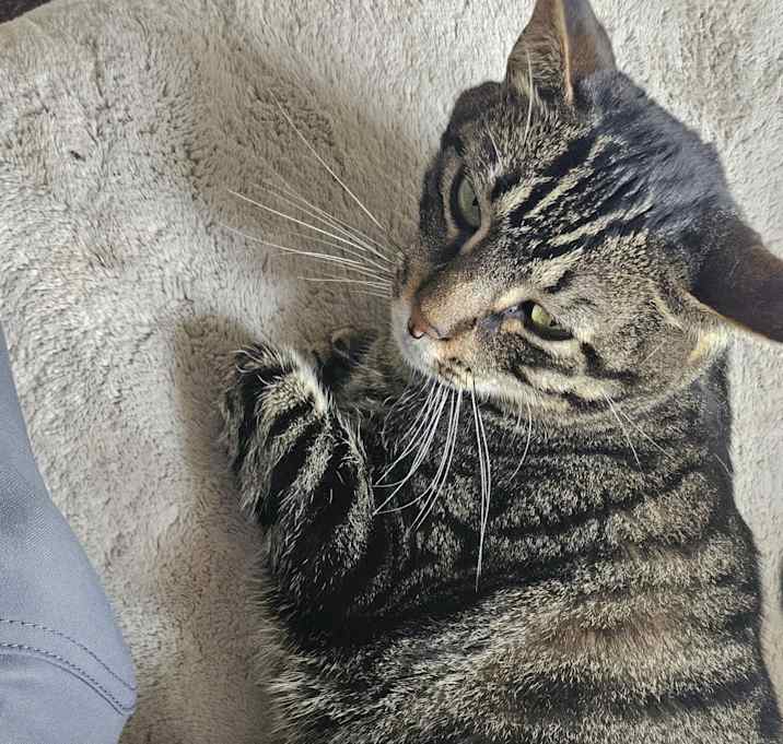 Photo of Trevor