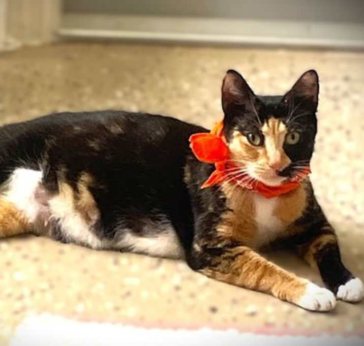 Photo of Lady Jade