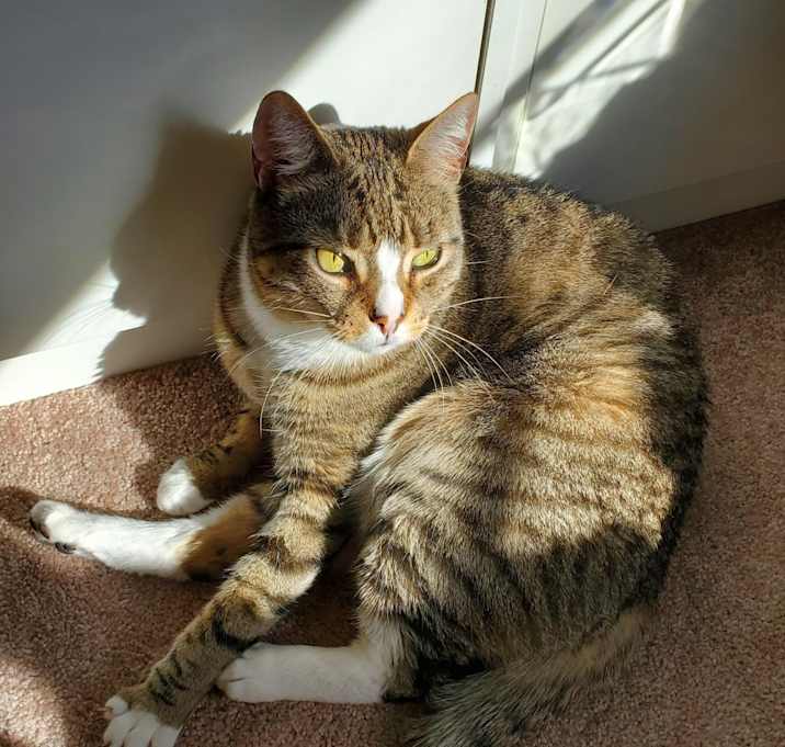 Photo of Charlie