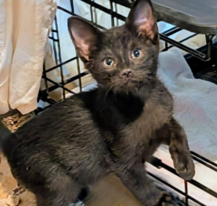 Photo of Reggie