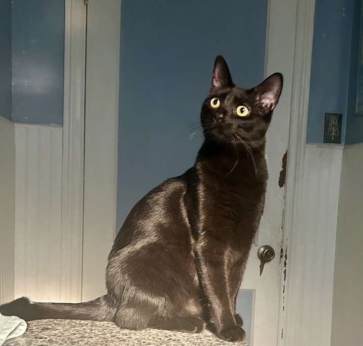 Photo of Miss Cleo