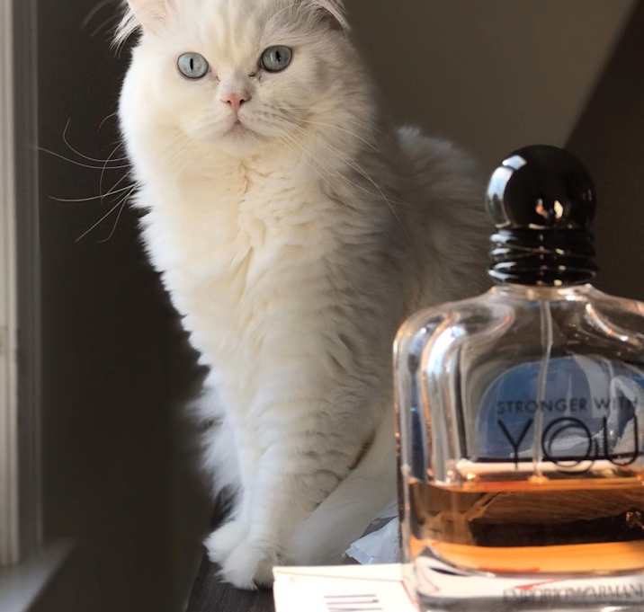 Photo of Mavi