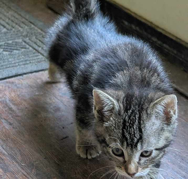 Photo of Bran