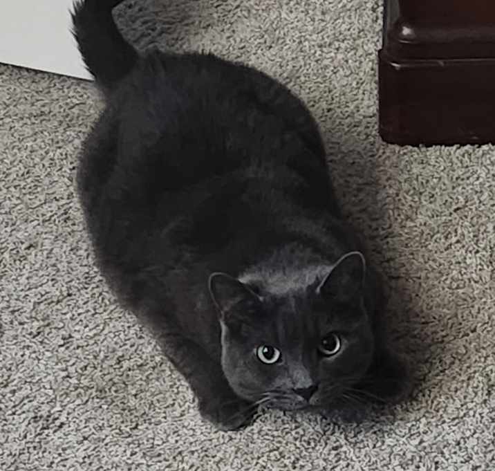 Photo of Bridget