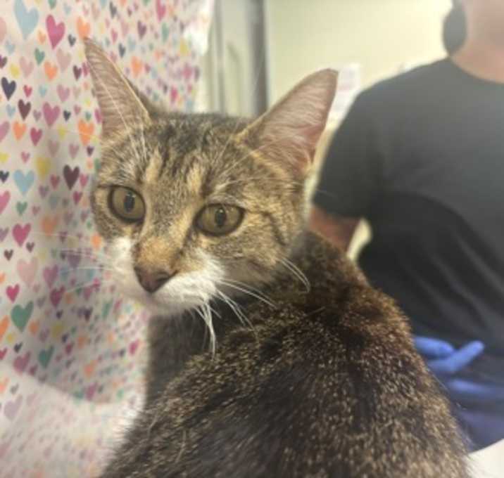 Photo of Spice