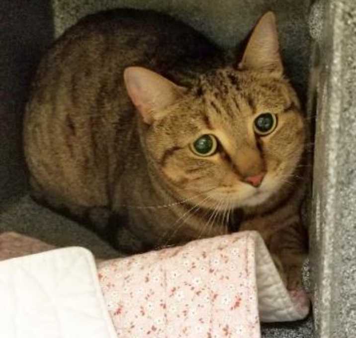 Photo of Bobo