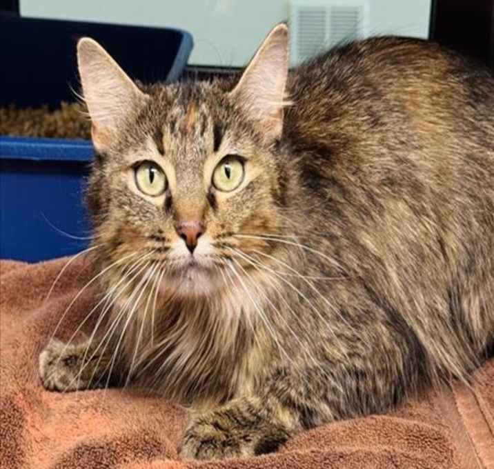Photo of MEG