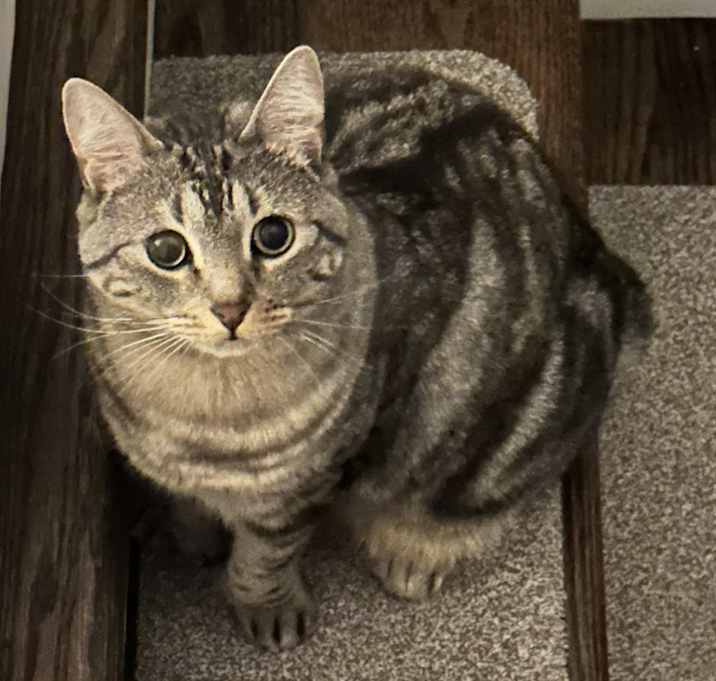 Photo of Clea
