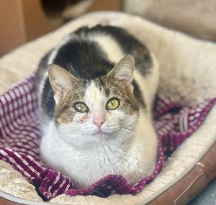 Photo of Maggie May