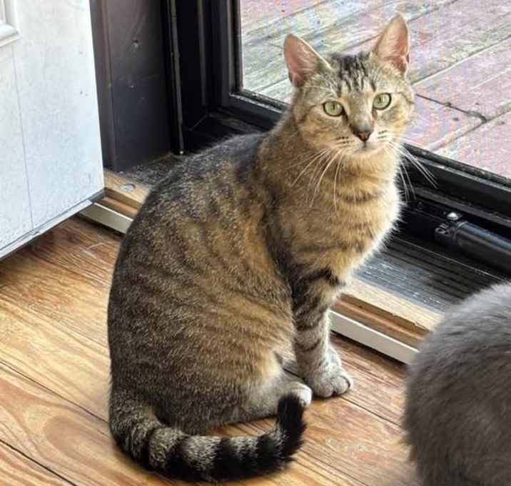 Photo of Maeve