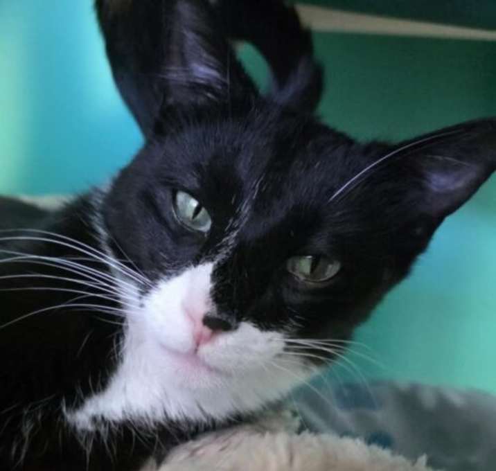 Photo of Tex