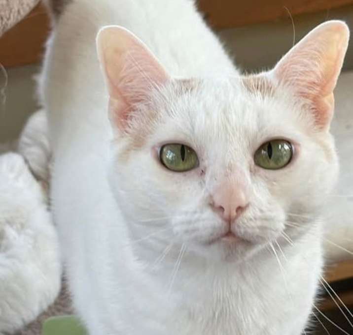 Photo of Elsie