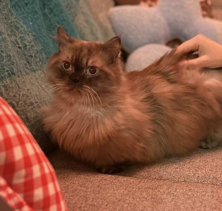 Photo of Bibble