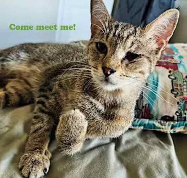 Photo of Tabitha