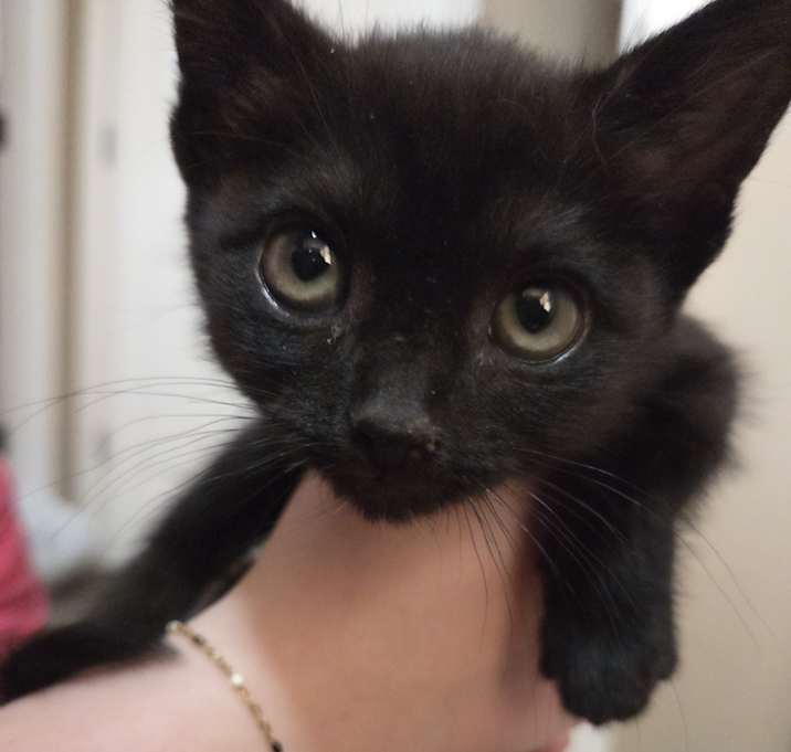 Photo of Molly