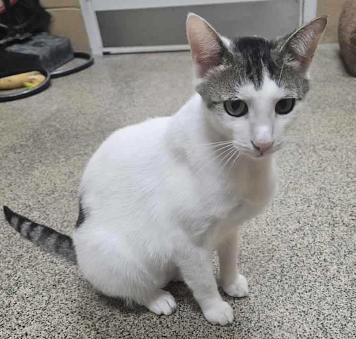 Photo of Ezri