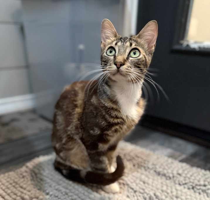 Photo of Raider