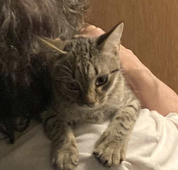 Photo of Cassandra bonded with Connie