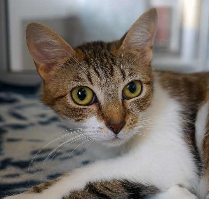 Photo of April