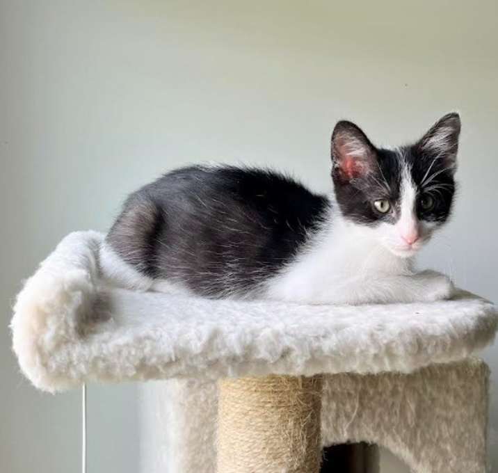 Photo of Eightball25