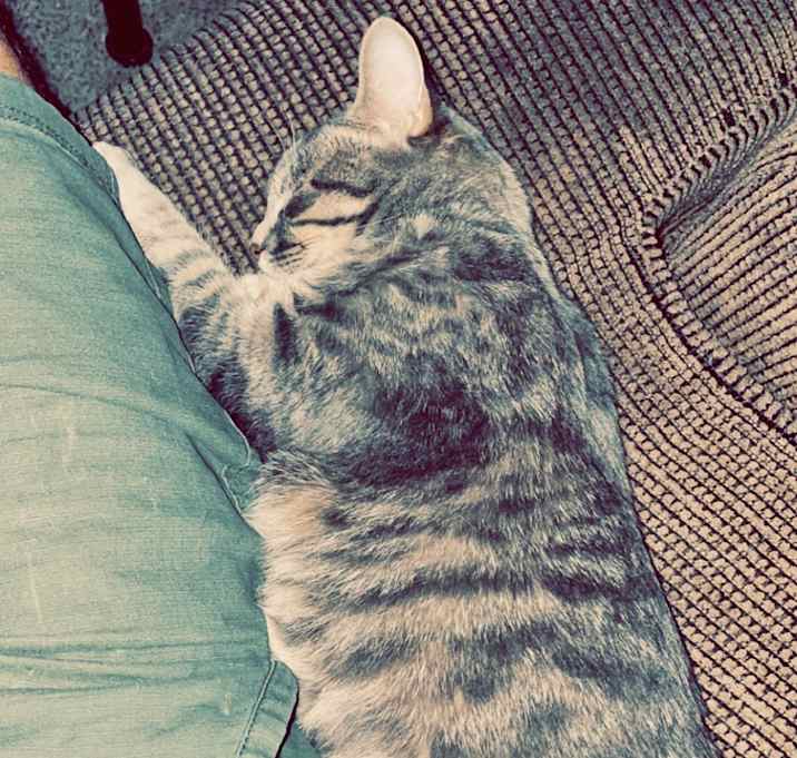 Photo of Maggie