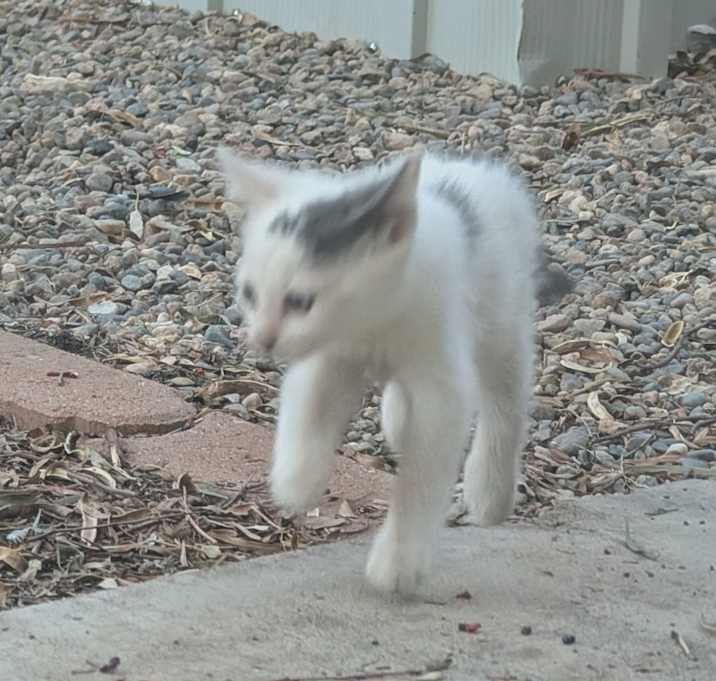 Photo of Simon