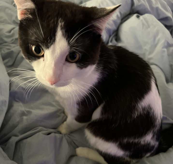 Photo of ezekiel