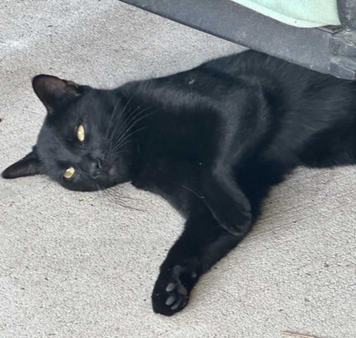 Photo of Sirius