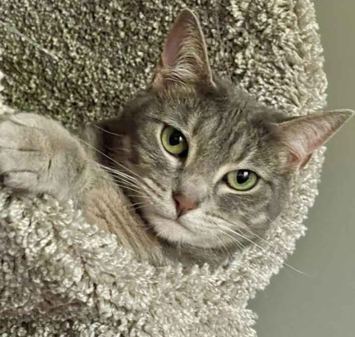 Photo of Stella Rose